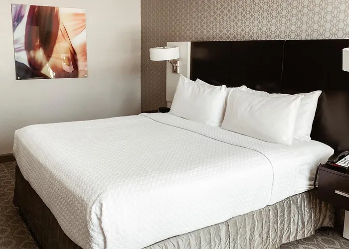 Crowne Plaza Chicago Sw - By Ihg Hotel Burr Ridge