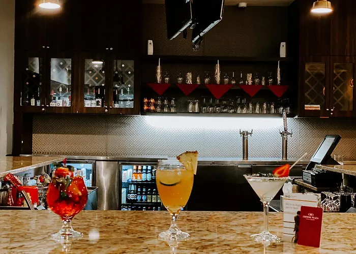 Crowne Plaza Chicago Sw - By Ihg Hotel