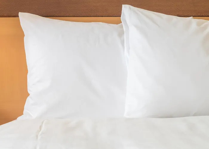 Hotel Crowne Plaza Chicago Sw - By Ihg Burr Ridge