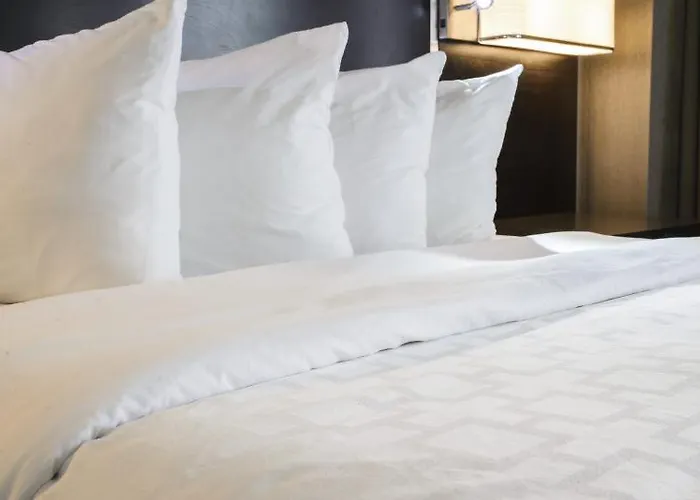Hotel Crowne Plaza Chicago Sw - By Ihg 3*